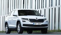 Škoda Kodiaq boduje nejen doma